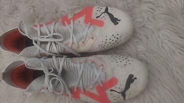 Puma, Veličina - 37, Anatomske