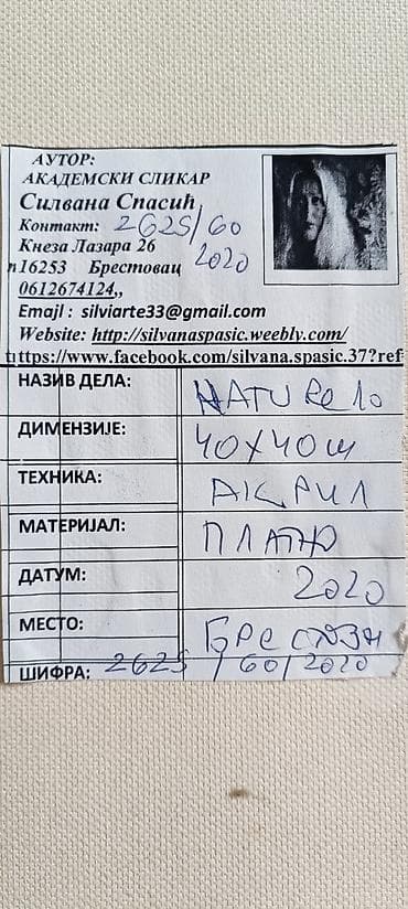 beograd ukrasi za novu godinu: Originalna slika – “Naturelo”, akademski slikar Silvana Spasić - — 2
