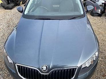 auti do 500e: HAUBA ZA ŠKODA OCTAVIA OD 2013. DO 2017. GOD. | Hauba za Skoda — 1