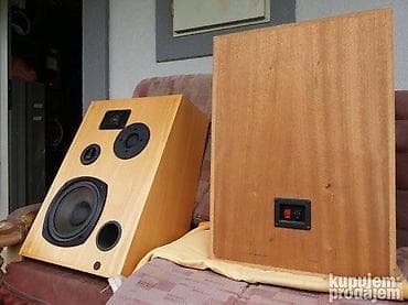 kompjuterski delovi: Peerless 8" Denmark- delovi -basovi 8 inca; 8 oma; platnene kalote=50e — 4