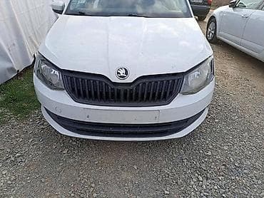 vom vranje: HAUBA BRANIK VRATA ZA ŠKODA FABIA OD 2015. DO 2019. GOD. | SKODA — 1