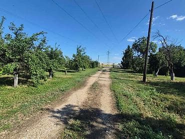 placevi na prodaju prokuplje: Na prodaju salaš – Rumski drum 69a, Sremska Mitrovica Na prodaju — 2