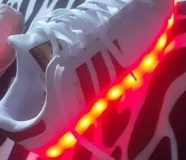 wintro patike: Adidas, 40, color - White — 2