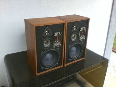 mali ventilator: Phonocord 4060b; 8 inca,4-8oma,60/100w, furnirane; teske; sve potpuno — 4