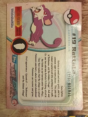 capriolo novi sad: Pokemon kolekcionarska kartica – Rattata #19 (TV Animation Edition) - — 2