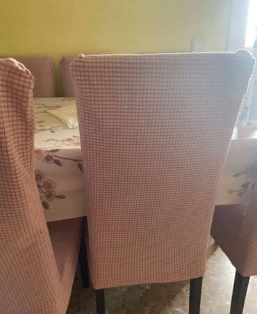 Sobne biljke: Za stolice — 9