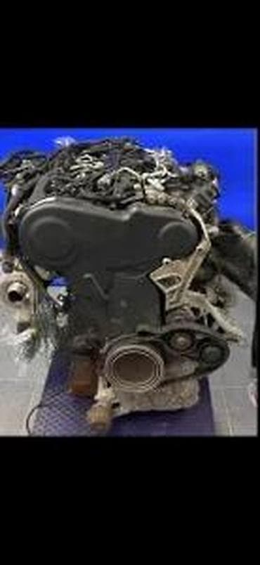 automobile rs: AUDI A4 A6 2.0 TDI CGL MOTOR | audi delovi zemun 06******** — 1