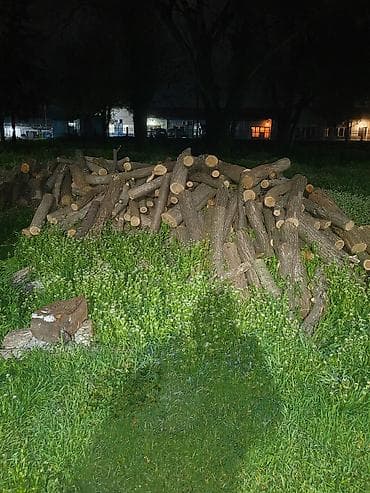 Ogrevno drvo – isečeno na kraće cepanice - Vrsta: lišćar (mešavina