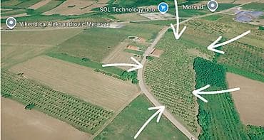 blue land socks: Izdajem plac pod zakup. Dogovor. Meterize / Vinča Ca. 3 km. od Topole — 2