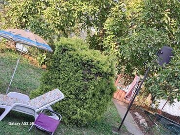 čačak izdavanje stanova: 60 sq. m, 3 bedroom — 8