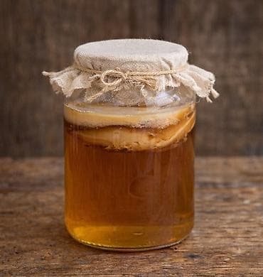 figure za tortu beograd: Domaći kombuha starter set u staklenoj tegli - Sadrži aktivnu SCOBY — 1