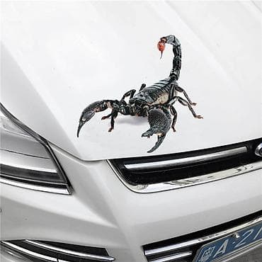 brod za hranjenje ribe: 3D Nalepnica za auto Skorpija, Pauk, Guster — 3