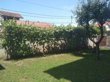stan na izdavanje beograd: 400 sq. m, 5 bedroom — 25