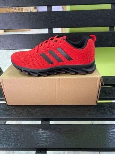 adidas patike terrex swift r2 gtx: Trainers — 24