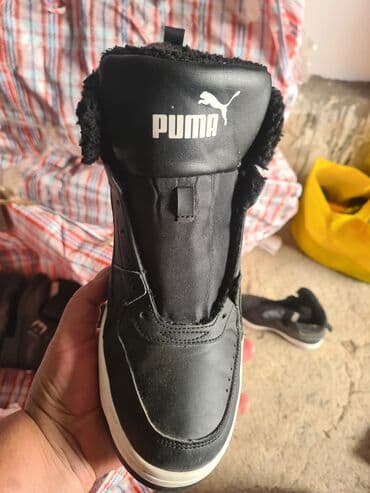 delsey koferi cena: Čizme, Tommy Hilfiger, 40 — 12