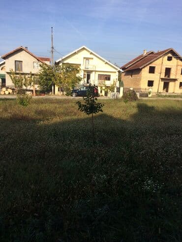 prodaja kuca pirot: Gradjevinski plac 1200 kvadrata (12 ari ) N Placu ima 60 kajsija 4 — 2