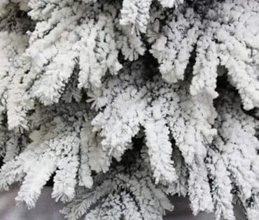 bozicni voz: ❄️Bela NOVOGODIŠNJA JELKA sa oborenim granama ❄️🎄 💶CENE I DIMENZIJE  — 5