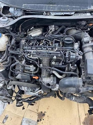 MOTOR 1.6 TDI ZA VOLKSWAGEN GOLF 6 | Motor za Golf 6 1.6 TDI na lalafo.rs MOTOR 1.6 TDI ZA VOLKSWAGEN GOLF 6 | Motor za Golf 6 1.6 TDI