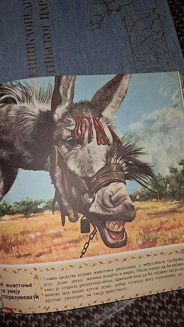 aleksandar dima: Enciklopedija životinjskog carstva. Prelepe dve velike knjige. 26 x 24 — 8
