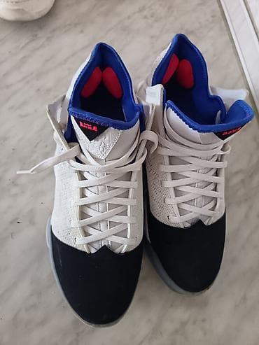 nike tech fleece l: Nike LeBron Witness 5 patike za košarku, 43 - Model: LeBron Witness — 3