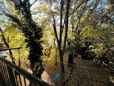 izdavanje stanova cuprija: 2 sobe — 19