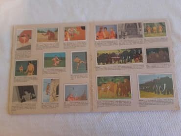 test iz engleskog za 3 razred: Album sa slicicama TARZAN 1982.Edizioni Panini *izdanje Dečije novine — 20