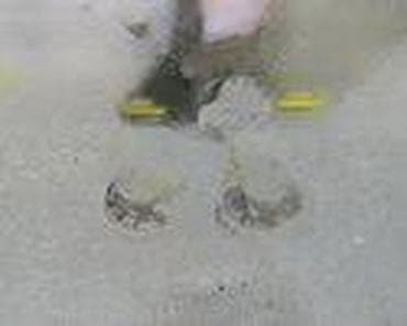 auto otpad ruma: VENTILATOR GREJANA U KABINI ZA FORD FOCUS OD 2004. DO 2009. GOD. | — 6