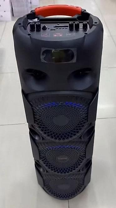 duro pro: Prenosivi Bluetooth zvučnik / karaoke zvučna kutija velikog formata — 1