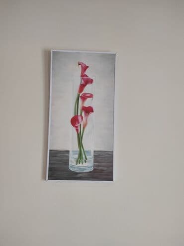 demon trimer novi sad: Slika, 50 x 25 cm, Novo — 3