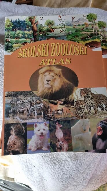 pepco podna lampa: Bоја - Šareno, Novo — 5