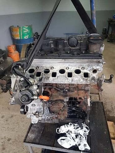 auto oznaka holandije: Volkswagen — 4