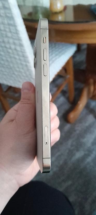 torba za dokumente: Apple iPhone (serija Pro) – zlatna/šampanj boja - Kućište sa ravnim — 2