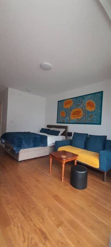 Land Plots: Studio — 11