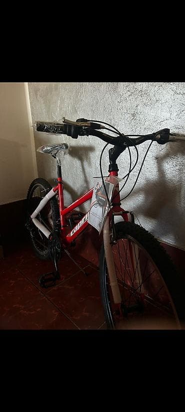 Dečiji bicikli: Capriolo planinski bicikl – ženski/uni ram - Veličina točkova: 26 — 5