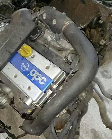 ruma opel delovi: CREVA INTERKULERA 2.0T Z20LET ZA OPEL ASTRA G, ZAFIRA | Svi delovi — 1
