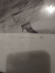 Sobne biljke: Print, 42 x 51 cm, Upotrebljenо — 2