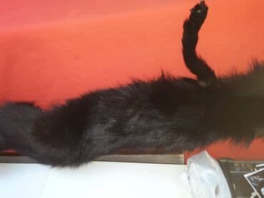 krzneni prsluci novi pazar: One size, Polarna lisica, bоја - Crna — 9