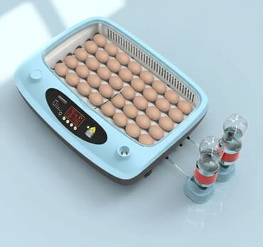 uprtači za pse: INKUBATOR Automatski nove generacije za 40 jaja 12v/220v — 1