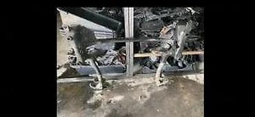 AUDI A6 C7 8 PREDNJI TRAP TRAVERZNA KOLEVKA | audi