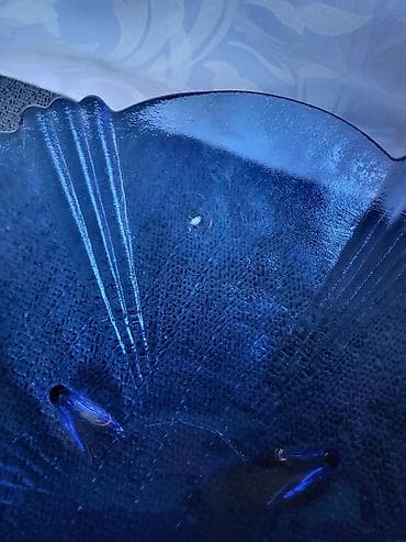 Sušilice: Cinija nova,vintaz univerzalna. Cinija vintaz,presovano staklo,sve na — 4