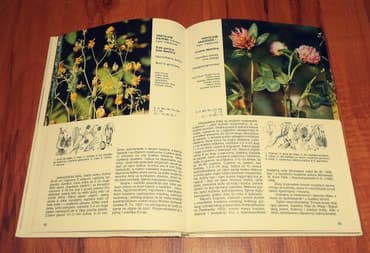 lektira za 3 razred: Livadske biljke, prof. dr Ljubomir Mišić / prof. dr Radomir Lakušić — 3
