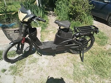 zadnji amortizeri za punta cena: Električni skuter – kargo/utility tip - Boja: crna, niskog rama za — 3