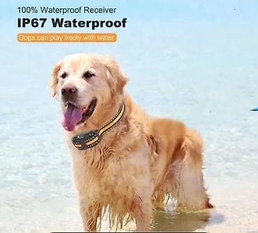 Pets & Animals: Elektricna ogrlica za dresuru pasa 800m NOVI model 3moda struja — 2