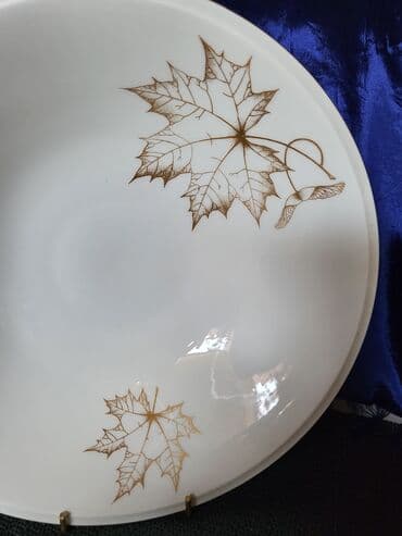 delimano posuđe akcija: Cinija Freiberger porcelan Nemacka iz 1950g+. Cinija je perfektna sve — 4