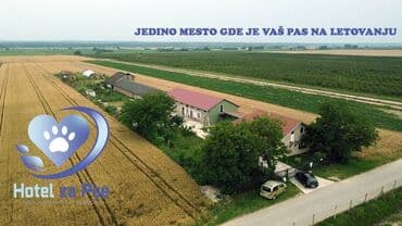 Sweatpants: Hotel za pse Ideal Da li planirate putovanje, posao ili odmor, a ne — 10