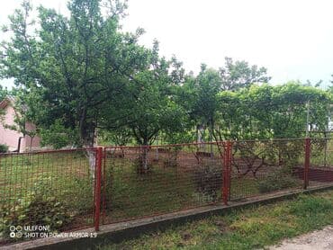 dobos kuce golubinci: 18 sq. m, 2 bedroom — 10