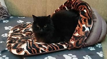 Krevet papuča za kućne ljubimce sa naslonkm.Namenjena za mačke i male