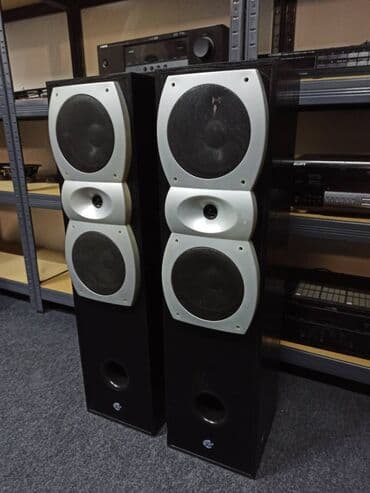 Microphones: CAT MBC 300 podnostojece kutije dupli basevi od 6 incha 2x180 wati — 2