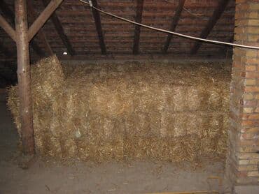 Balirana žitna slama Bale su dimenzije 40x30x80 cm. Slama stoji na lalafo.rs Balirana žitna slama Bale su dimenzije 40x30x80 cm. Slama stoji