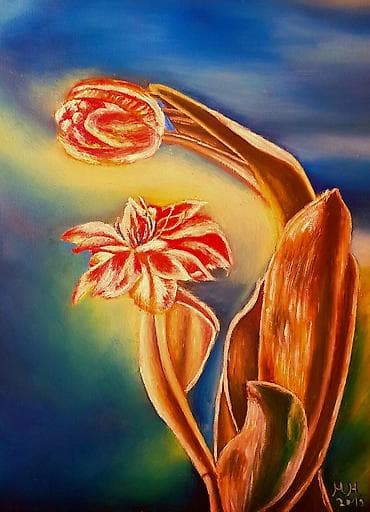 saksije nova pazova: Slika, Novo — 9